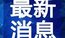 海归兄弟爆料视频大全最新,揭秘海外生活真相与挑战
