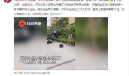 河津网红最新爆料新闻,揭秘背后惊人真相！