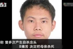 吴谢宇最新爆料,揭秘惊人内幕